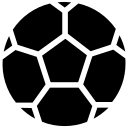 单欣辛